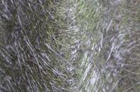 Smithstone fibreglass roof work